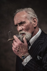 Cigar smoking characteristic senior business man with gray hair