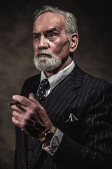 Cigar smoking characteristic senior business man with gray hair