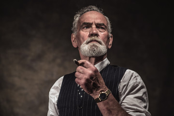 Cigar smoking characteristic senior business man with gray hair