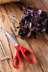 Basil on table close-up