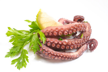 insalata di polpo