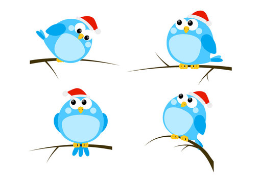 Set of cartoon Christmas birds
