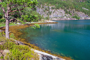 Norwegian wild nature in summer season