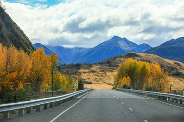 Road trip in New Zealand