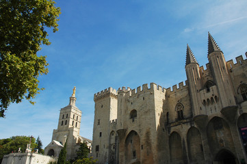 Fototapeta na wymiar Ingesso del Palazzo dei Papi, Avignone, Provenza, Francia