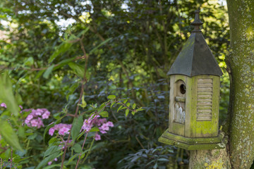Nichoirs disséminés dans le jardin pour abriter les oiseaux