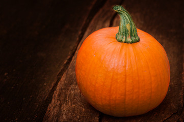 Kürbis auf Holz