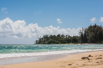 the beach in Maui