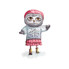 Cartoon owl concept design. Bird are isolated on white