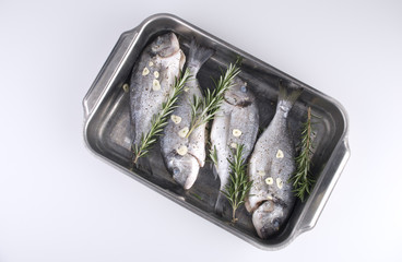 dorade goldbrasse gegrillt 4