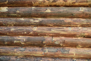 wall of logs