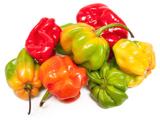 Chili pepper