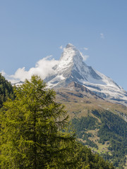 Zermatt, Dorf, Alpen, Lärchenwald, Berggipfel, Sommer, Schweiz