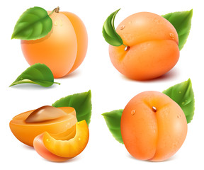 Apricots with green leaves