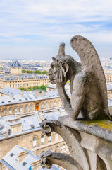 Obraz premium Gargoyle observes Paris