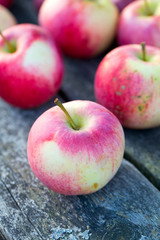 fresh red apples on wooden surface