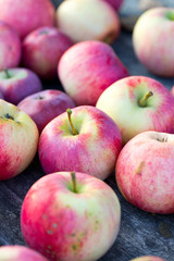 fresh red apples on wooden surface