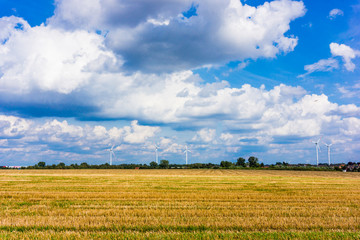 Wind turbines.  meadow with wind turbines