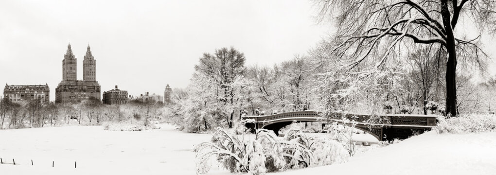 Central Park Winter