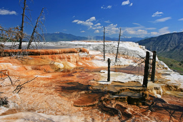 Canary Spring against blue sky in Yellowstone National Park