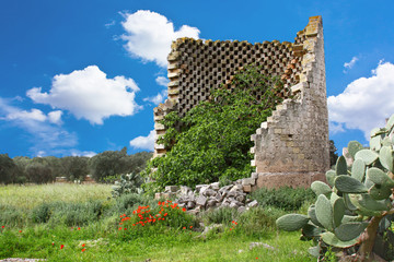 Torre colombaia, Salento.