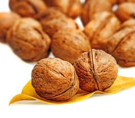 walnuts on white background