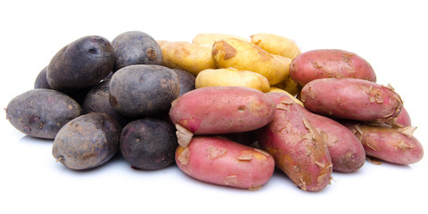 Different varieties of potatoes
