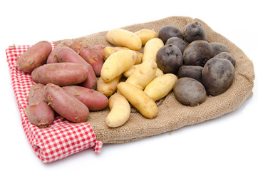 Different varieties of potatoes on a burlap