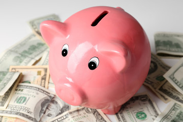Piggy bank on money background