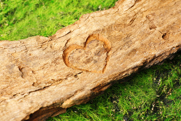 Heart carved in tree bark