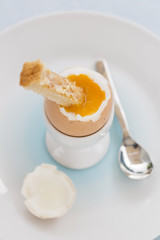 Soft boiled egg in eggcup with toast on table