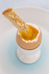 Soft boiled egg in eggcup with toast on table