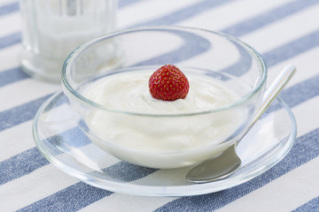 Bowl of fresh Yogurt