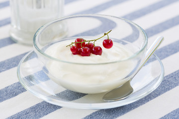 Bowl of fresh Yogurt