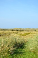 Naturlandschaft an der Nordsee