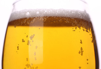 Light beer closeup