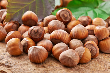 Heap of hazelnuts