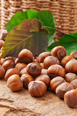 Heap of hazelnuts