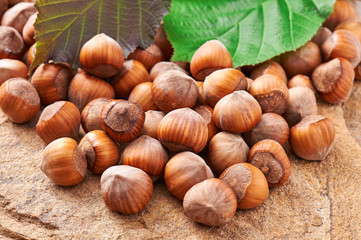 Heap of hazelnuts