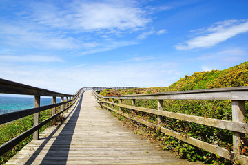 Picturesque landscape with bridge. Spain