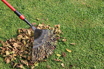otoño recoger hojas jardinería 8616-f14