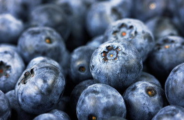 Fresh blueberries background
