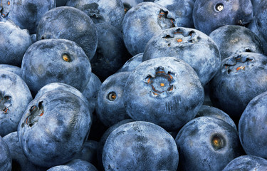 Fresh blueberries background