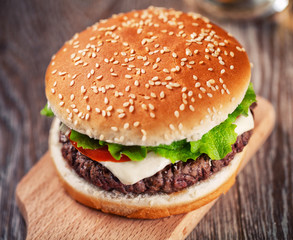 Fresh Hamburger