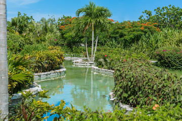 View of home tropical garden river with various plants