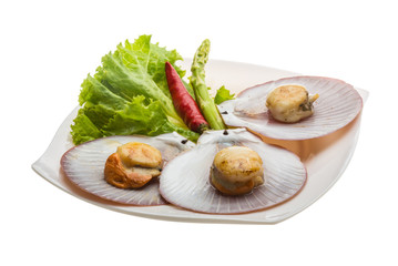 Grilled scallops