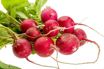 Fresh radish