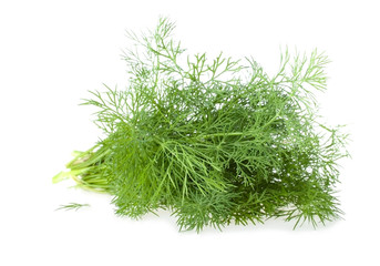 The Bundle of Fresh Dill