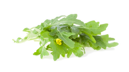 The Bunch of Arugula