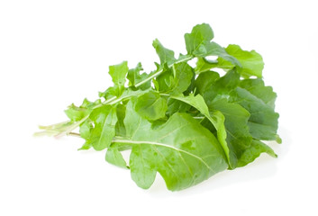 The Bunch of Salad Rocket